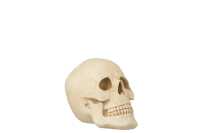 Cranio Resina Beige Large