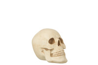 Skull Poly Beige Large