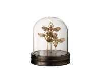 Bell Jar Butterfly Poly/Glass