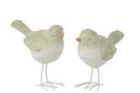 Vogel Poly Wit/Lichtgroen Large