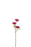 Flower Daisy Plastic Fuchsia