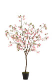 Blossomtree Plastic Pink/Brown