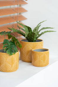 Übertopf Tropisch Keramik Ocker