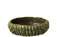 Dish Tropical Ceramic Green 