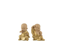 Monk Poly Gold Assortment Of 2