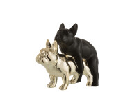 Bulldog Couple Ceramic/Black Gold