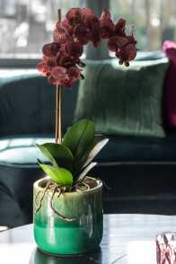 Orchidee In Pot Plastiek/Cement
