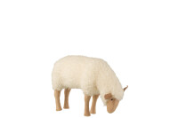 Schaf Stehend Blick Nach Unten