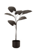 Plant Decoration Metal Dark Brown