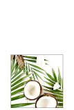 Pack 20 Napkins Coconuts Paper