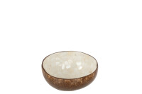 Half Coconut Ball Nuye Nut/Paint