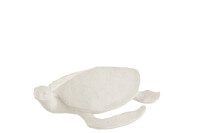 Turtle Poly White Small
