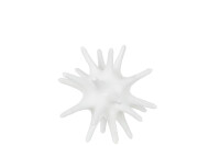 Sea Urchin Poly White