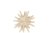 Sea Urchin Poly Beige