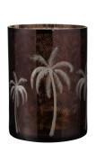 Hurricane Palm Tree Glass Brown