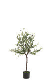 Olive Tree In Pot Plastic Green