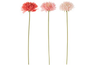 Chrysanthemum Plastic Pink Mix