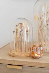 Bell Jar Dried Flowers Ecru/Brown