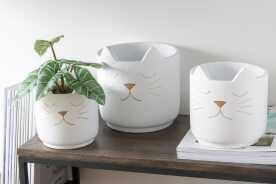 Flower Pot Cat Cement White Gold