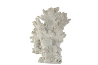 Coral Poly White Small