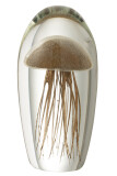 Paperweight Jellyfish Glass Brown