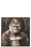 Schilderij Gorilla Canvas/Hout