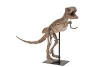 Dinosauro T-Rex + Piede Resina