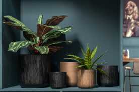 Flowerpot Gen Ceramic Black Medium