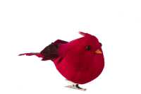 Uccello Clip Polyfoam/Piume Rosso