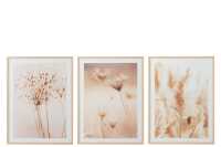 Frame Flowers Nature Mdf/Glass