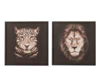 Frame Lion/Panther Mdf/Glass
