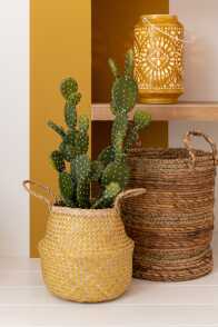 Set Of 3 Baskets Lucie Raffia