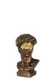 Bust David Poly Bronze/Gold