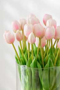 Bouquet Tulips 5pieces Pu Soft