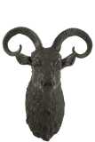 Goat Head Aluminium Black