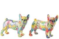 Bulldog Occhi In Piedi Pop Art