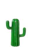 Cactus Polyresine Vert Small