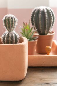 Cactus+Pot Synthetic Material
