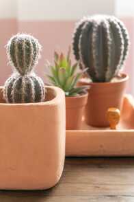 Cactus Ball Shaped+Pot Synthetic