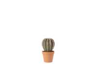 Cactus Bolvormig+Pot Kunststof