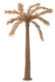Palmtree Seagrass Natural Extra