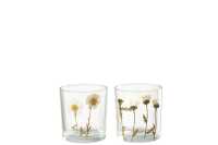Tealight Flower Daisy Glass Mix