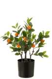 Orange Tree In Pot Artificial