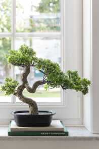 Podocarpus Bonsai Artificial Verde