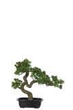 Podocarpus Bonsai Artificial Verde