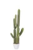 Cactus+Pot Plastic Groen/Melamine