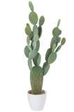 Cactus+Pot Plastic Groen/Melamine