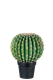 Cactus+Pot Zwart Poly Groen L