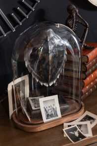 Bell Jar Oval Wood/Glass