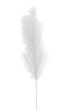 Branch Feather Duster Plastic